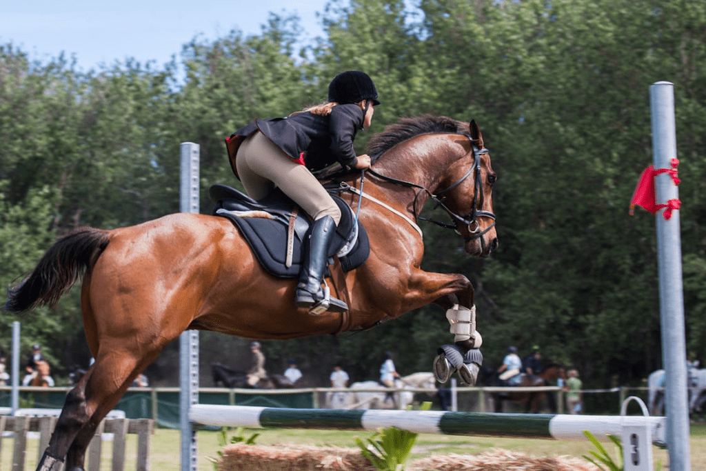 Mulher cavaleira em plena prova de hipismo, saltando com precisão sobre um obstáculo. A imagem captura o momento exato da conexão entre atleta e cavalo, unindo técnica, timing e confiança para superar desafios com elegância.